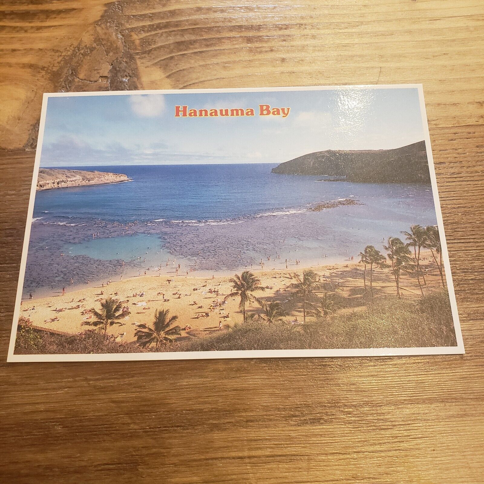 Hanauma Bay State Park Beach Aerial View Hawaii Postcard Photo Souvenir Island