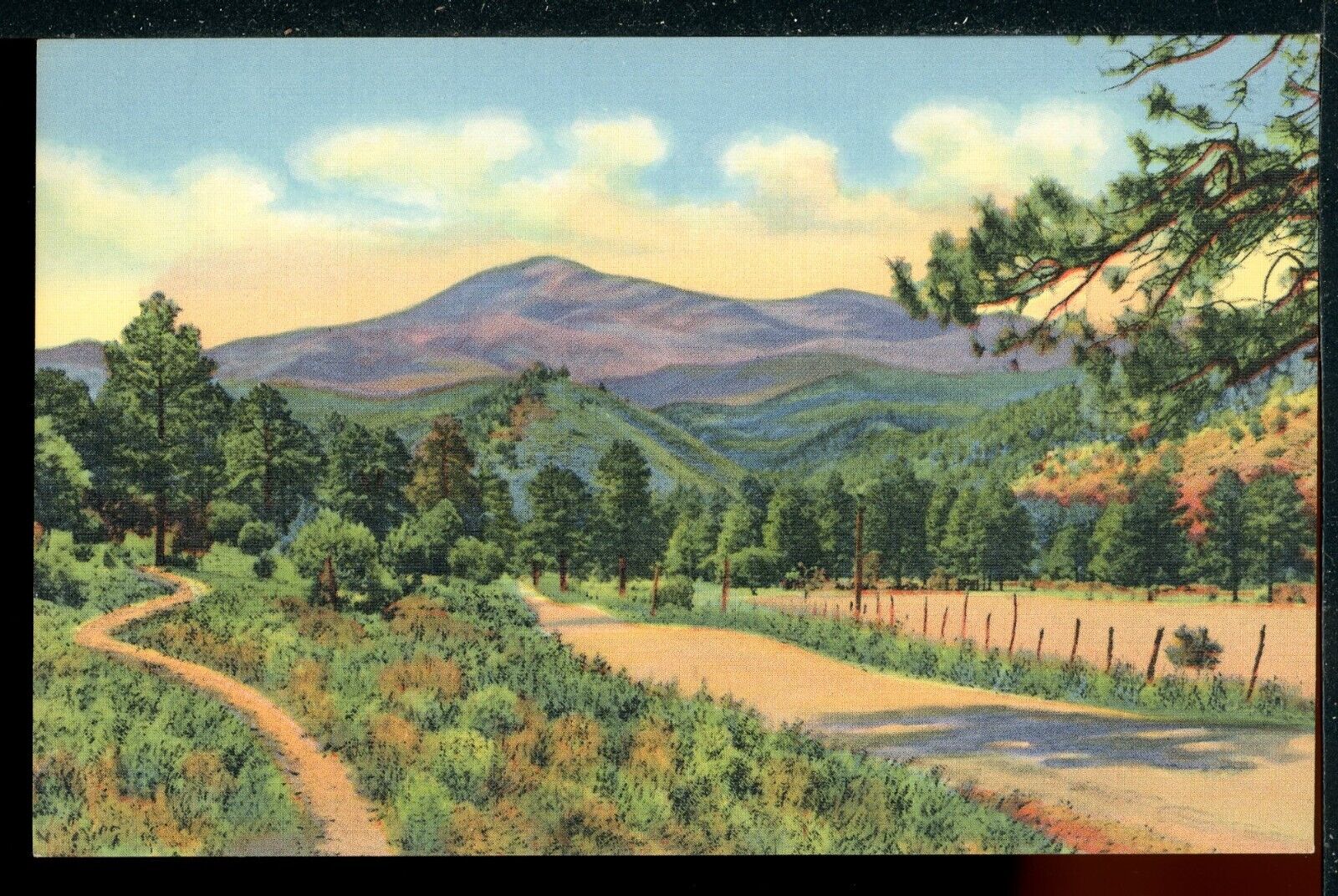 1940s White Mountain Sierra Blanca Ruidoso Hwy New Mexico Vintage Postcard R143