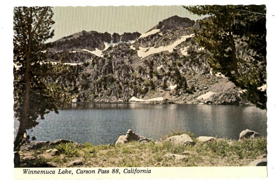 Postcard 1987  Winnemuca Lake Carson Pass Highway 88 California
