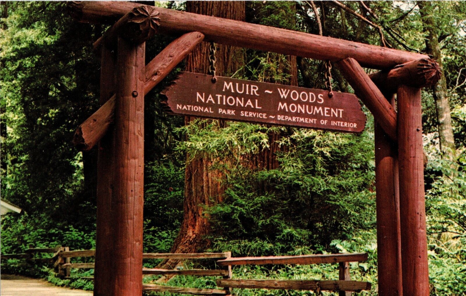 Muir Woods National Monument Main Trail Entrance Sign Mill Valley CA Postcard