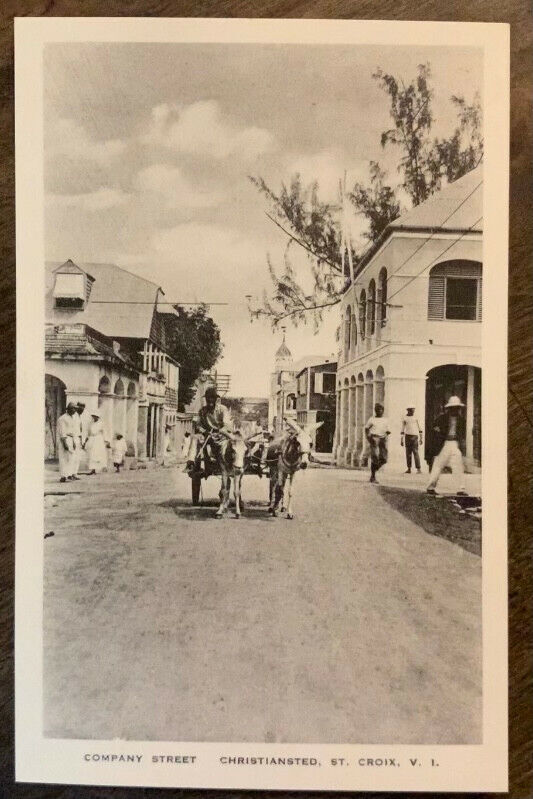 Vintage Company Street Mules, Christiansted, St. Croix, Virgin Islands Postcard
