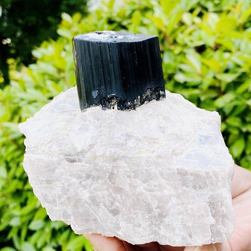 2.41LB Natural black tourmaline and quartzite symbiotic mineral specimen