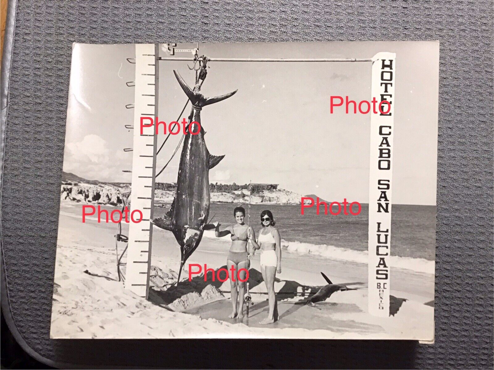 (FP-6), Women Posing with Marlin, Vintage Black /White Photo, 8x 10, Orig, 1969