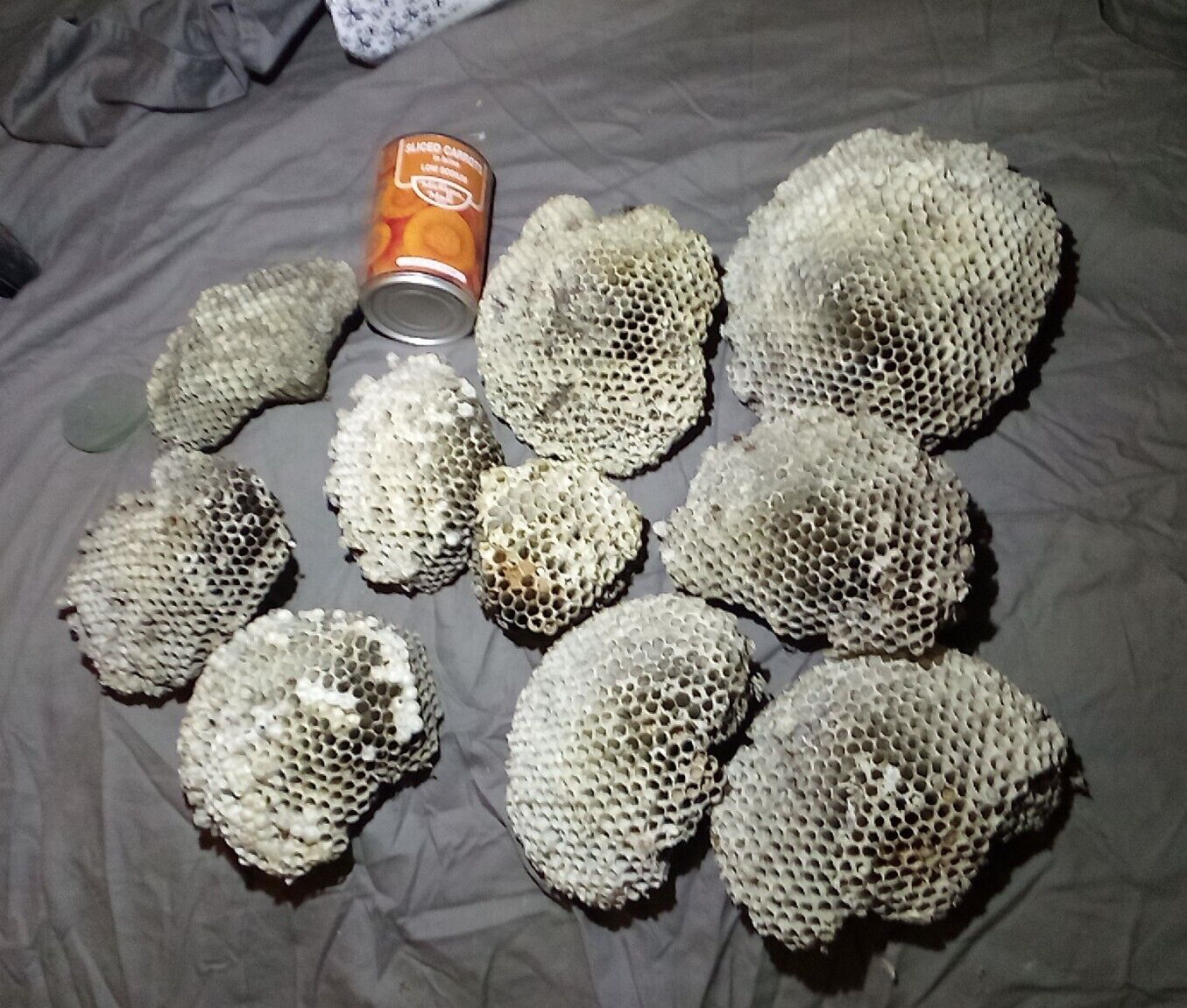 wasp nest From The Foothills Of The Ozarks Added Two More 