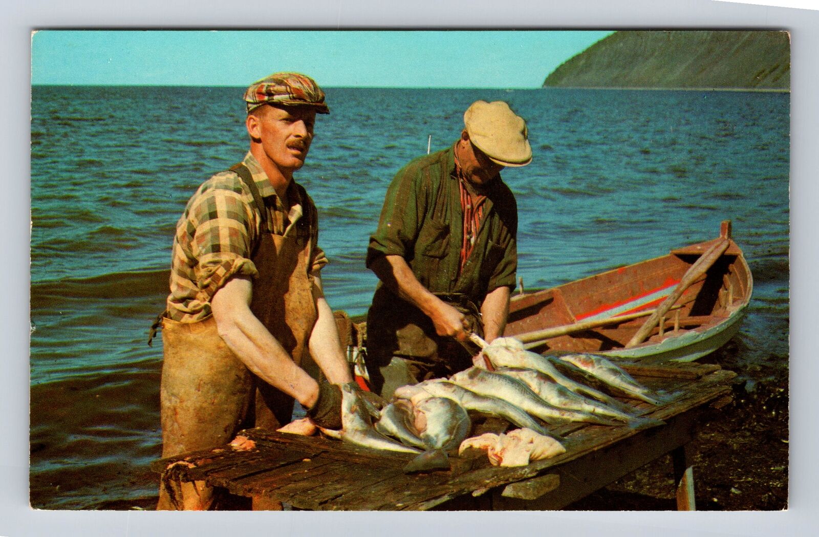 Mont St. Pierre Quebec Canada, Preparing Gaspe Cod For Market, Vintage Postcard