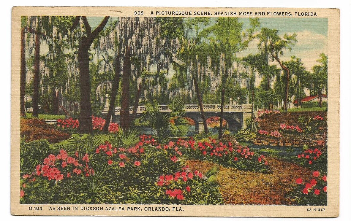 Orlando Florida FL Postcard Dickson Azalea Park