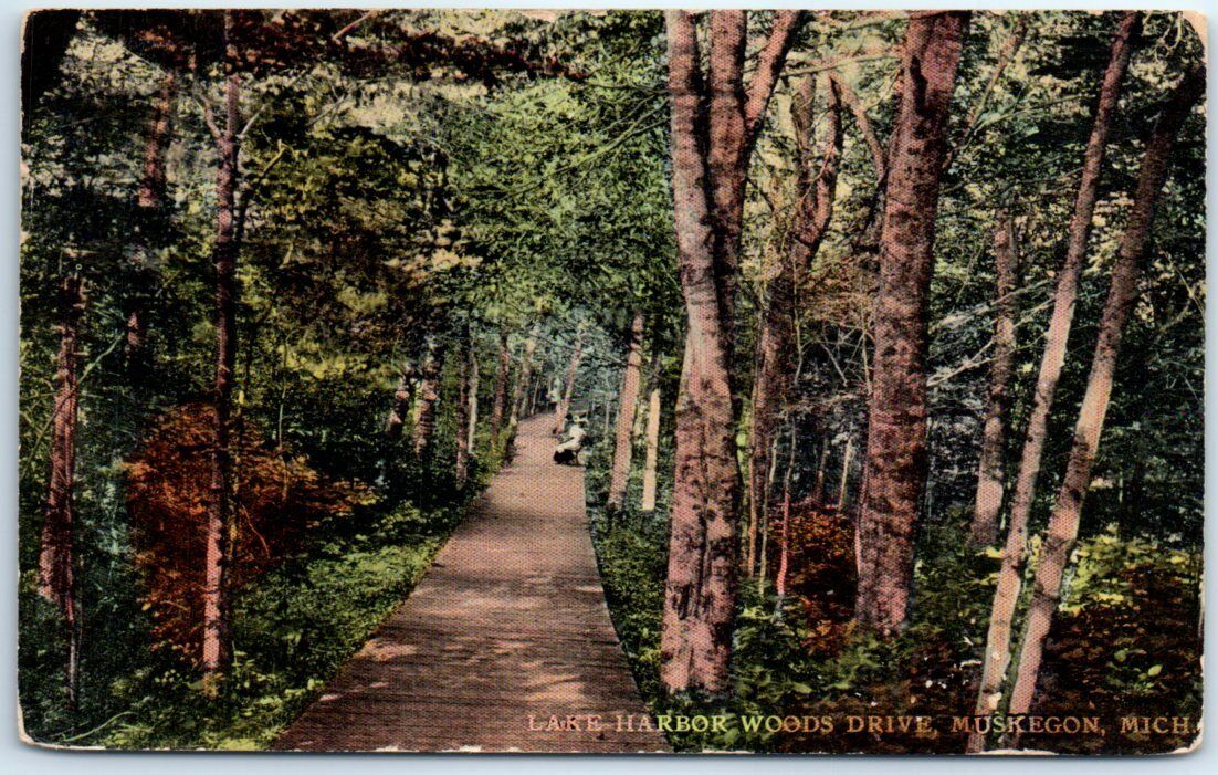 Postcard - Lake Harbor Woods Drive, Muskegon, Michigan