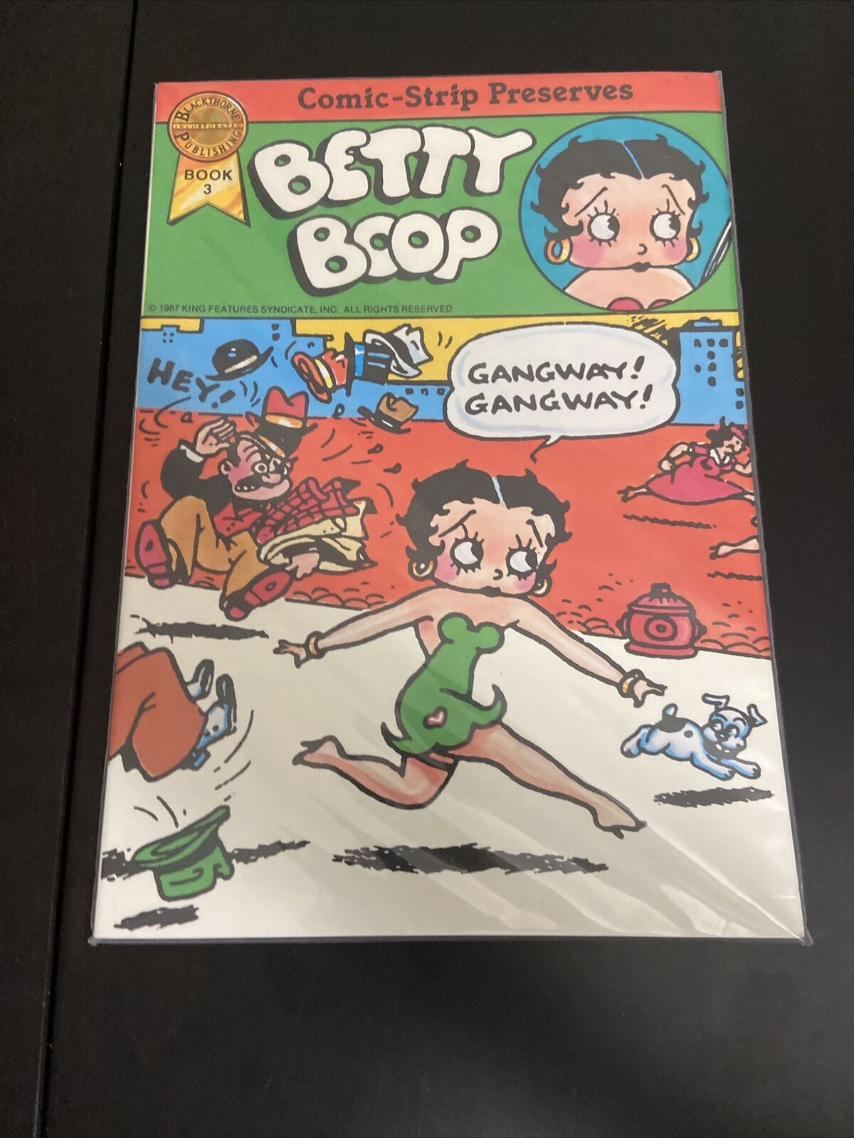 Betty Boop Comic Strip Preserves 1934 1935 RARE OOP Paperback Book 3 Blackthorne
