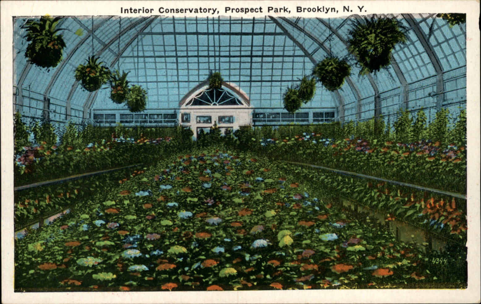 Conservatory greenhouse Prospect Park Brooklyn New York ~ 1920s vintage postcard