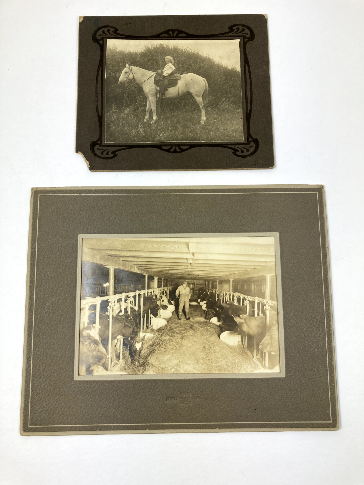 2 Vintage Farm Real B&W Photographs on matboard Boy on Horse & Man Feeding Cows