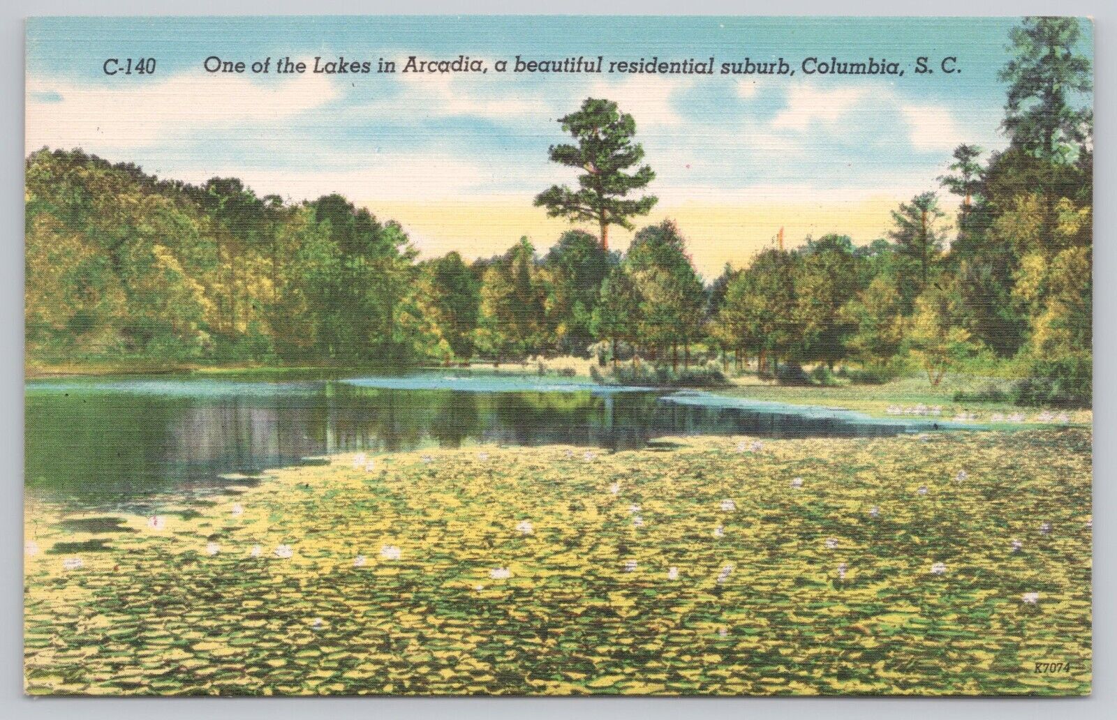 Postcard Lake in Arcadia a Beautiful Suburb of Columbia South Carolina Vintage