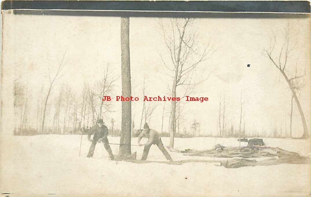 Unknown Location, RPPC, Logging Scene, Loggers with Double Saw Cutting Tree