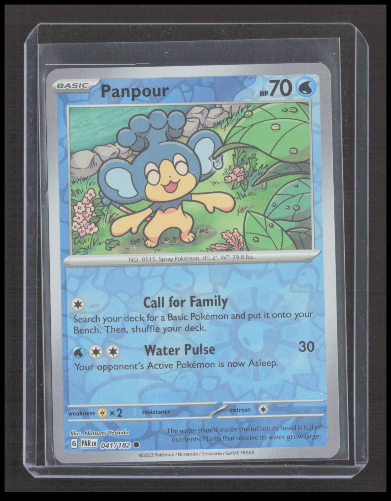 Panpour 041/182 Reverse Holo SV04: Paradox Rift Pokemon tcg Card CB-1-3-C-47