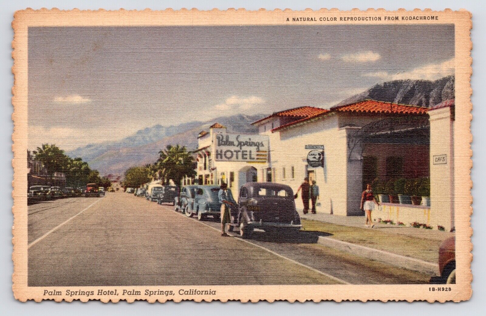 1940s Palm Springs Hotel Street View Stephen Willard California CA Postcard