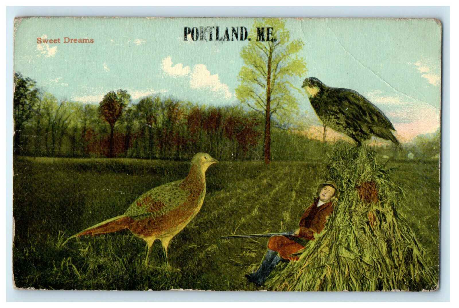 1913 Two Birds and Girl Sleeping Sweet Dreams Portland Maine ME Posted Postcard