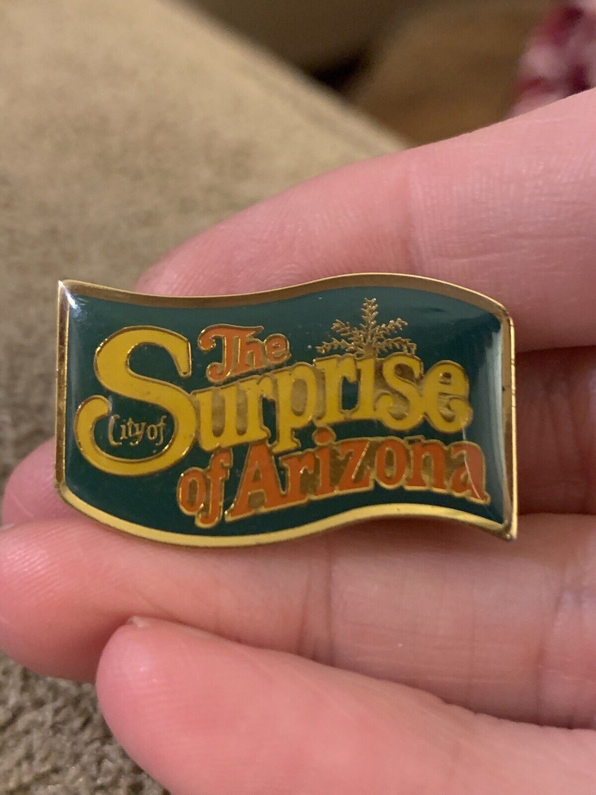The Surprise Of Arizona Enamel Lapel Pin (GW2)