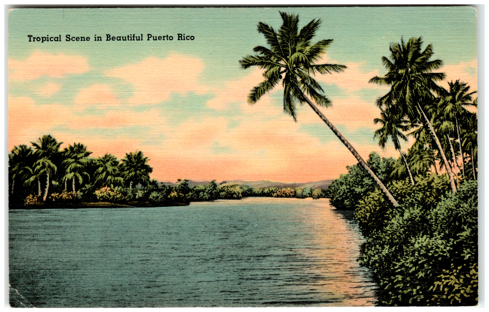 Postcard Linen Scenic Tropical View of Puerto Rico With Palm Trees