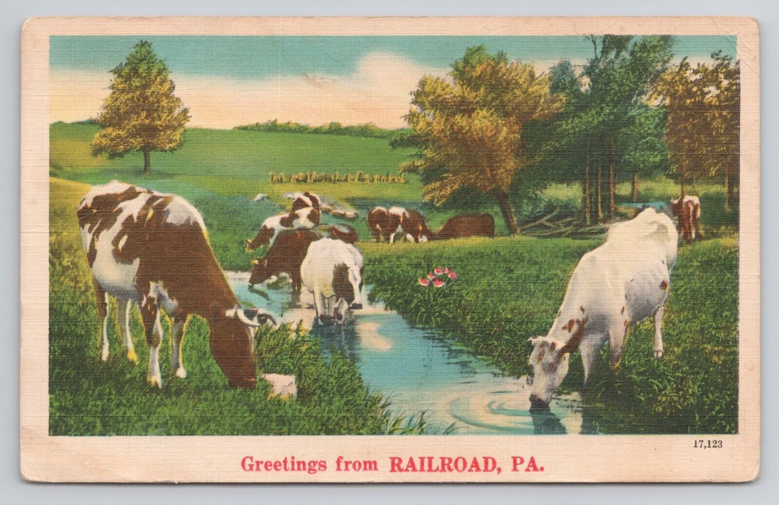 Greetings from Railroad Pennsylvania Postcard Dairy Pasture Cows Drinking Stream
