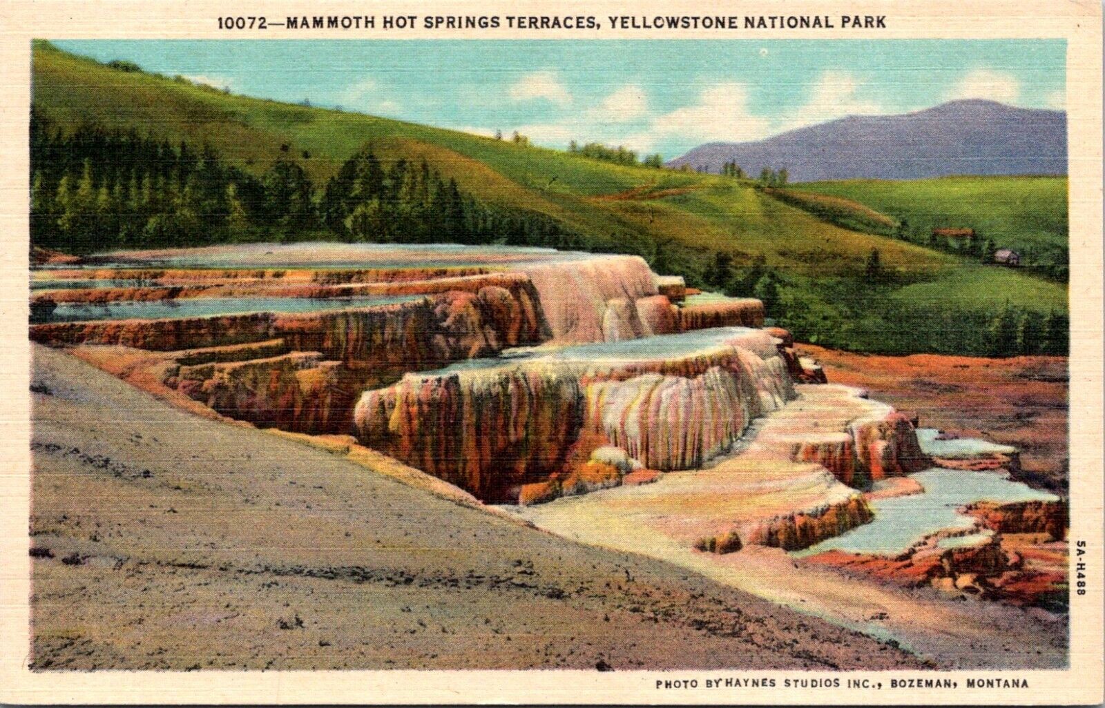 Mammoth Hot Springs Terraces Yellowstone National Park Linen Postcard