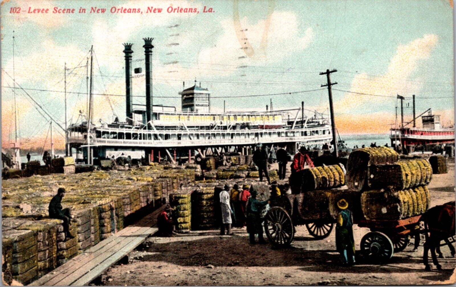 Postcard Levee Scene, Shipping Scene in New Orleans, Louisiana