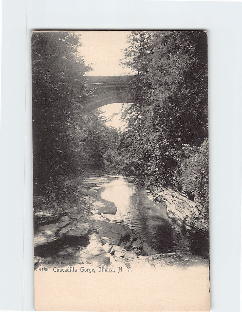 Postcard Cascadilla Gorge, Ithaca, New York