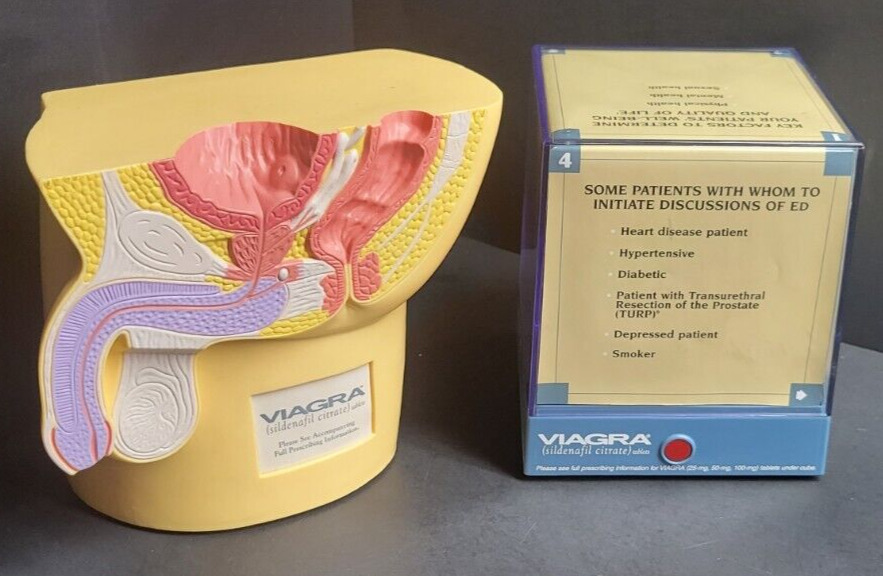 Viagra Pelvic Anatomy and Cube Rare Vintage Pharmaceutical Drug Rep Collectible