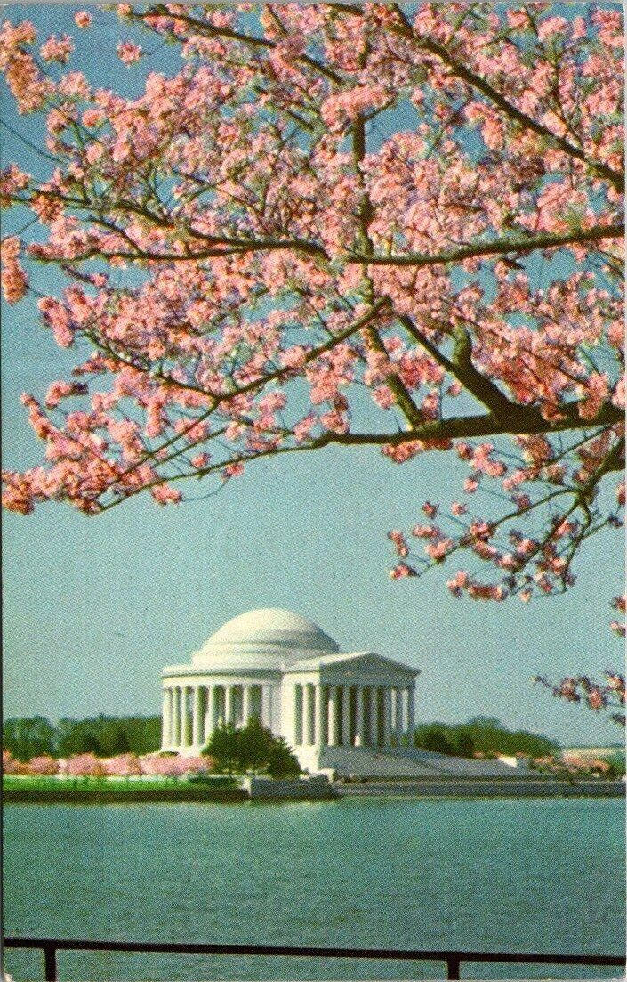 Vtg Cherry Blossoms in the Spring Thomas Jefferson Memorial in Washington, D. C.