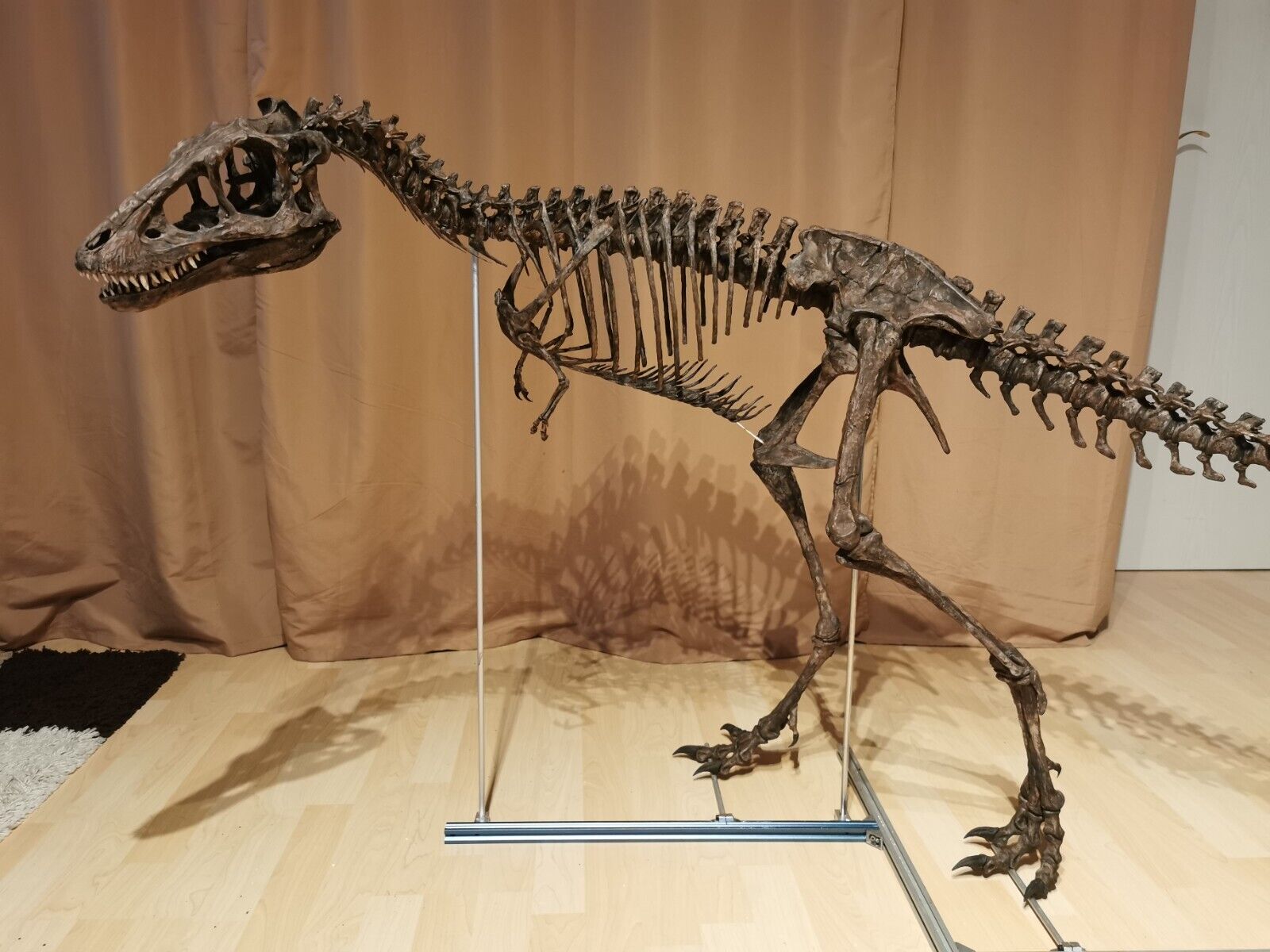 3d printed T-REX, Tyrannosaurus Rex baby skeleton model dinosaur 1:1