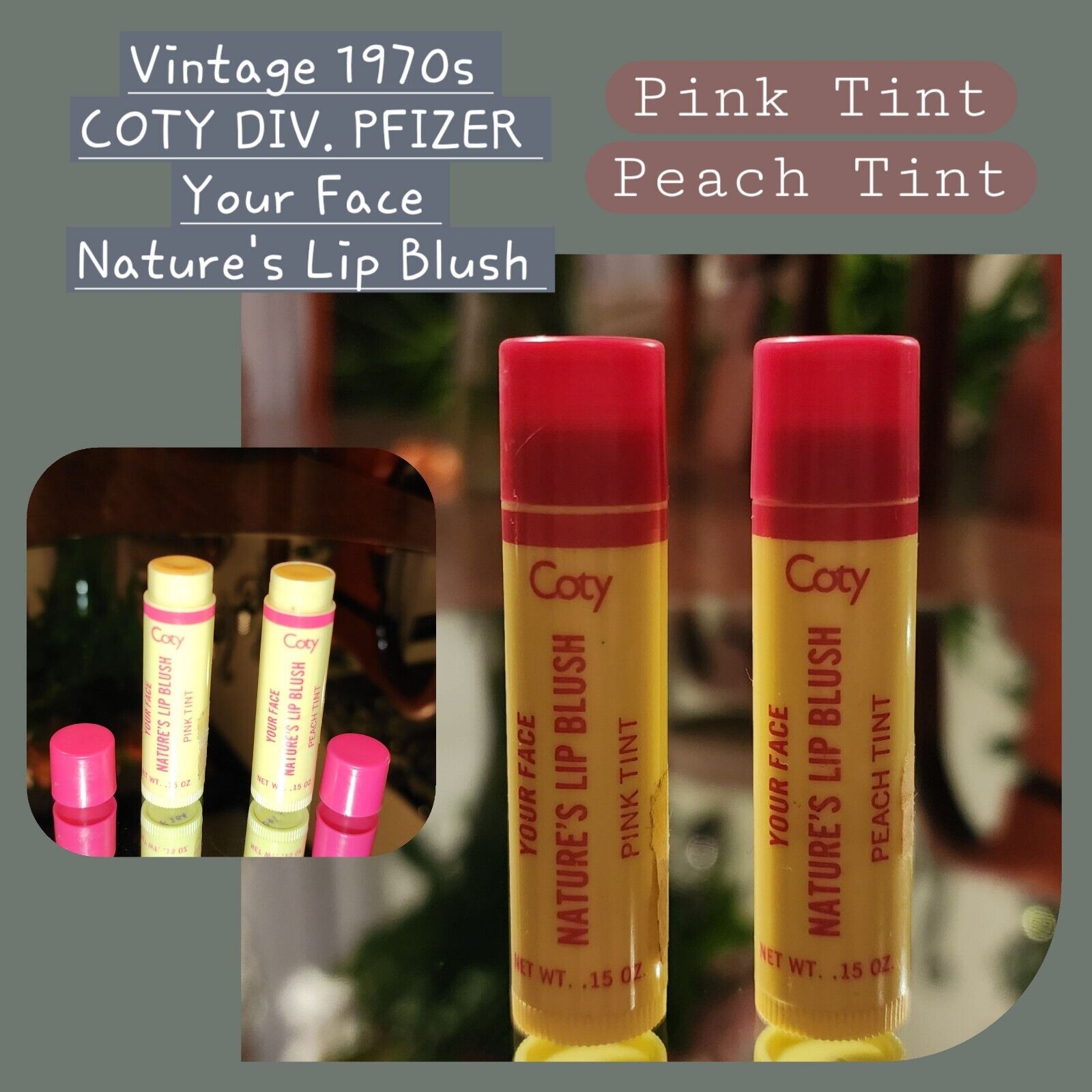 (2) Rare Vintage 1970s COTY Div Pfizer Your Face Nature\'s Lip Blush Lip Tint HTF