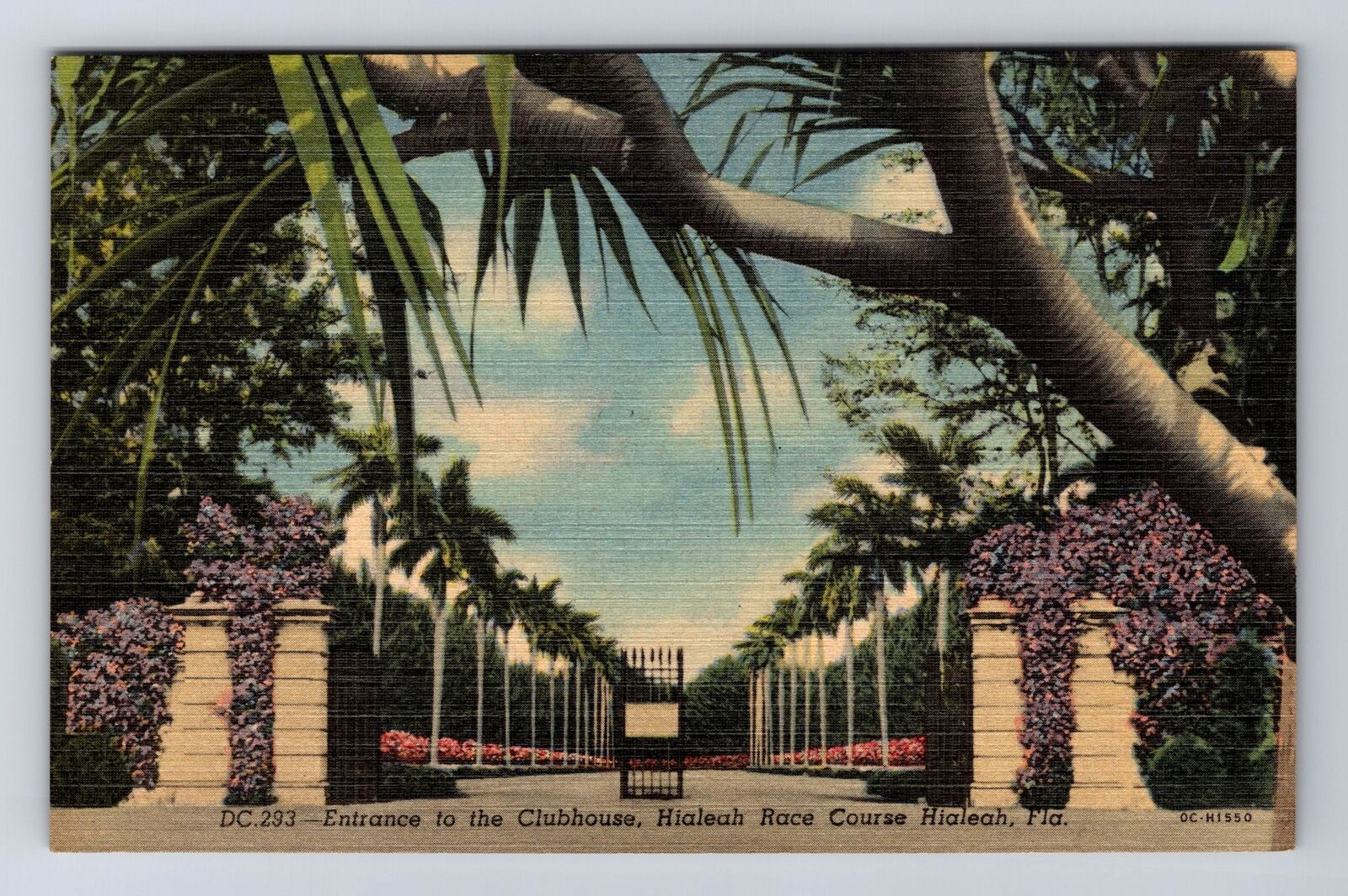 Hialeah FL-Florida, Entrance To The Clubhouse, Race Course, Vintage Postcard