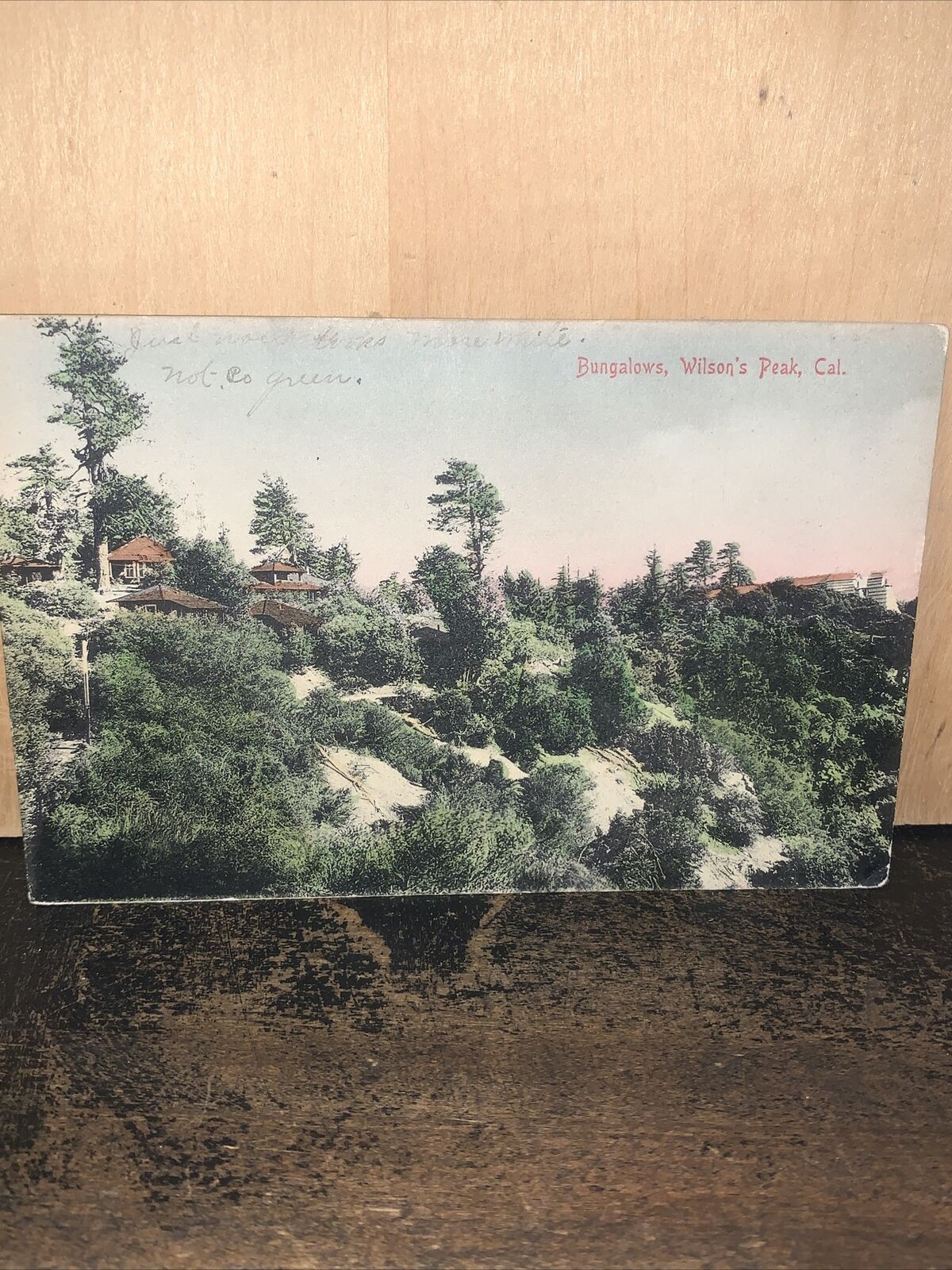 1903 Antique Postcard Wilson’s Peak, California. View of Bungalows ￼