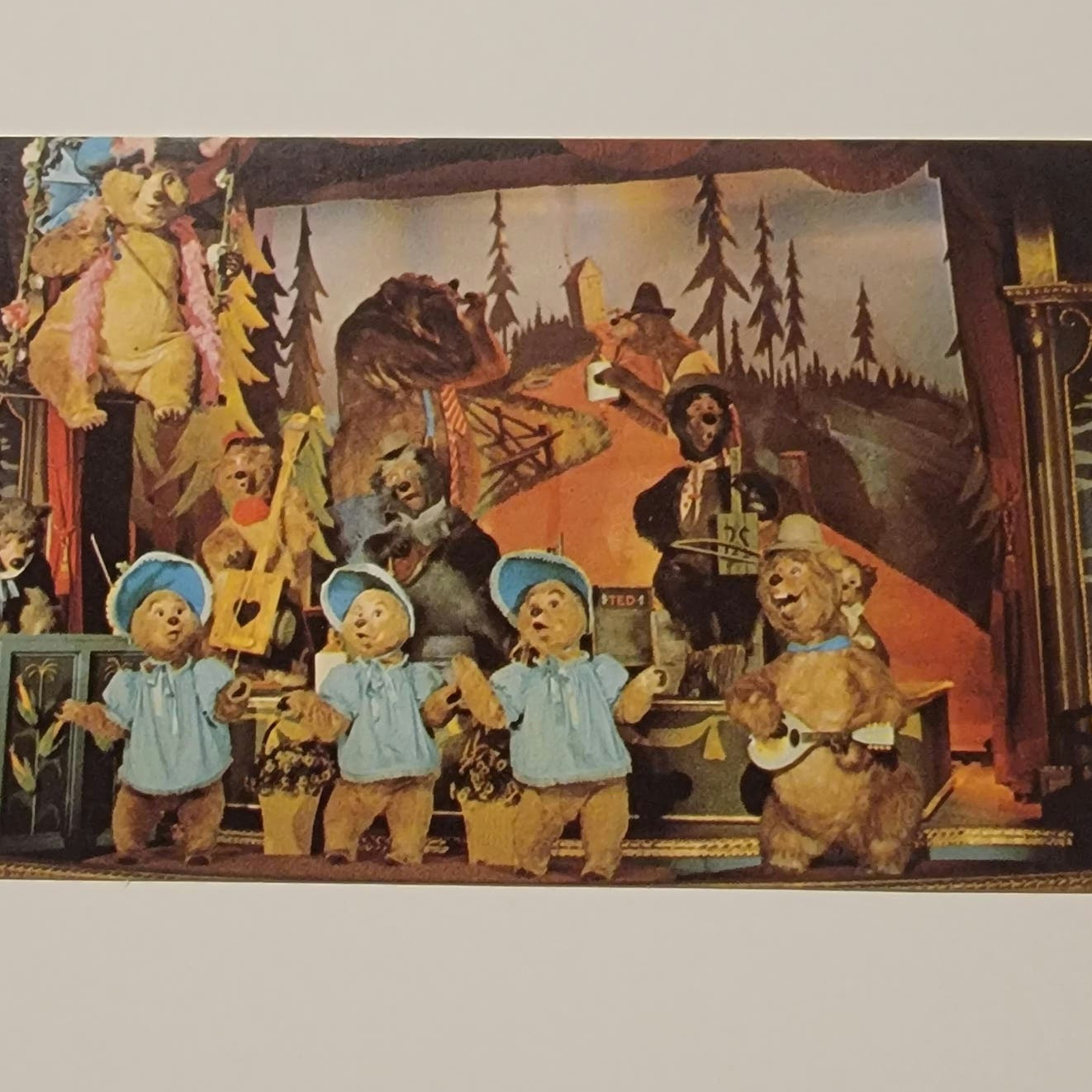Walt Disney World. The Country Bear Jamboree.  Vintage Postcard, Unposted