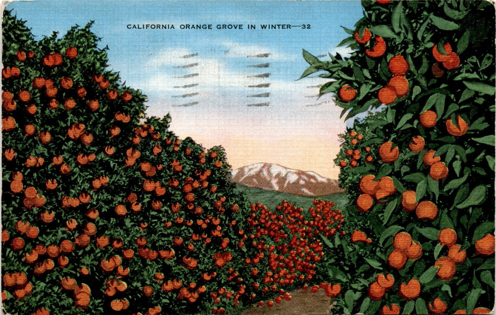 California orange grove winter oranges agricultural industry United Sta Postcard