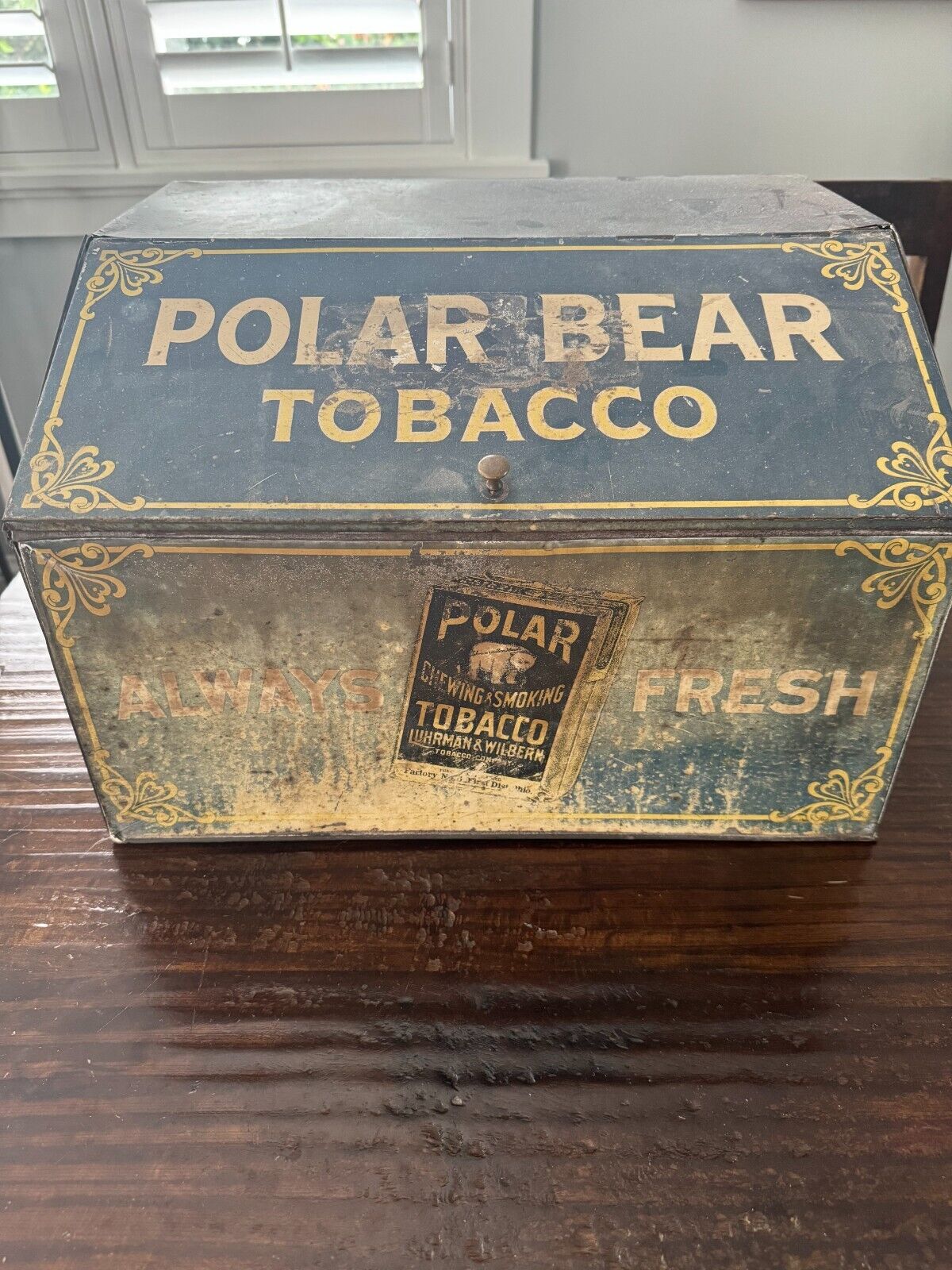 Antique Tobacco Advertising circa 1910 Polar Bear Store Counter Tobacco Tin Bin