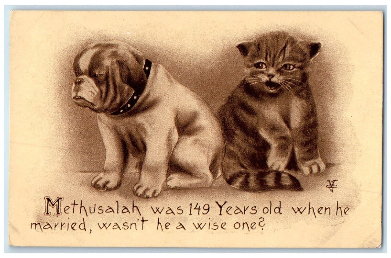 1911 Bulldog Dog And Cat Pets Animals Crookston Minnesota MN Antique Postcard