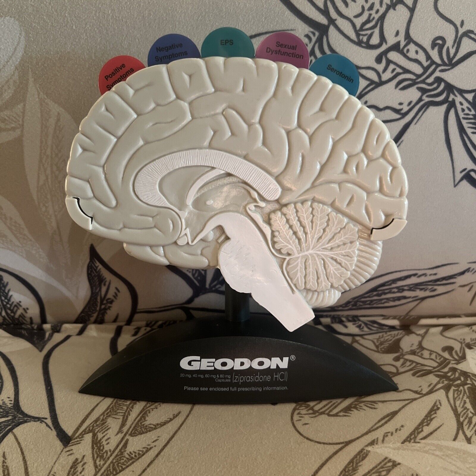 Geodon Brain Anatomical Model - Pharmaceutical Collectible - PFIZER 2003