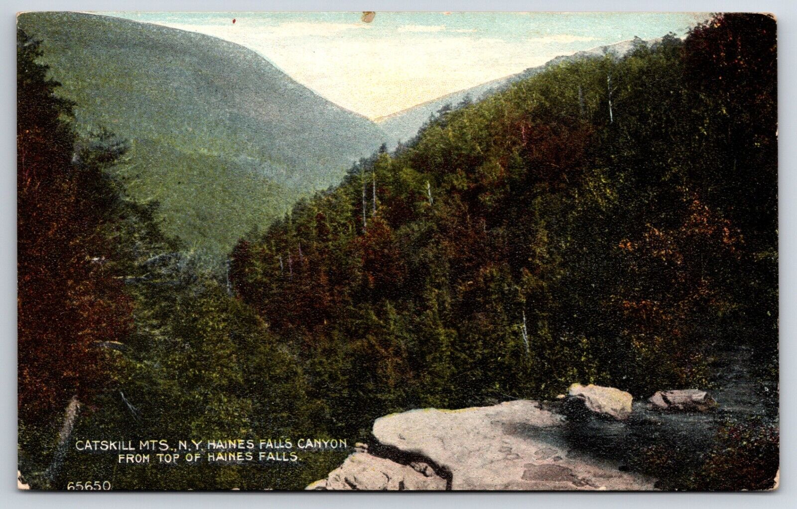 Catskill Mountains From Top Of Haines Falls Canyon New York NY Vintage Postcard