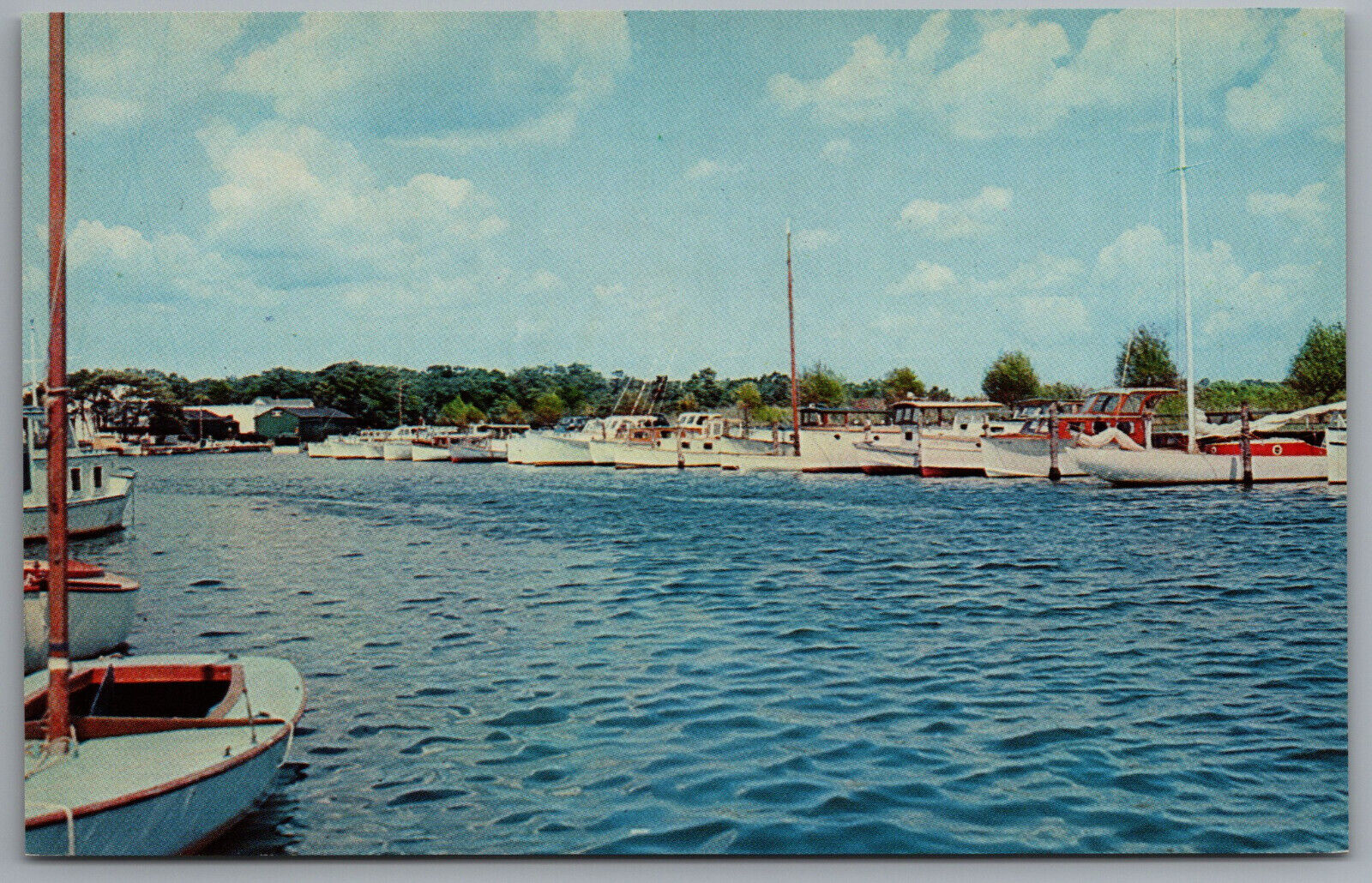 Long Island NY Sayville Brown\'s River Sailboats c1960 Postcard