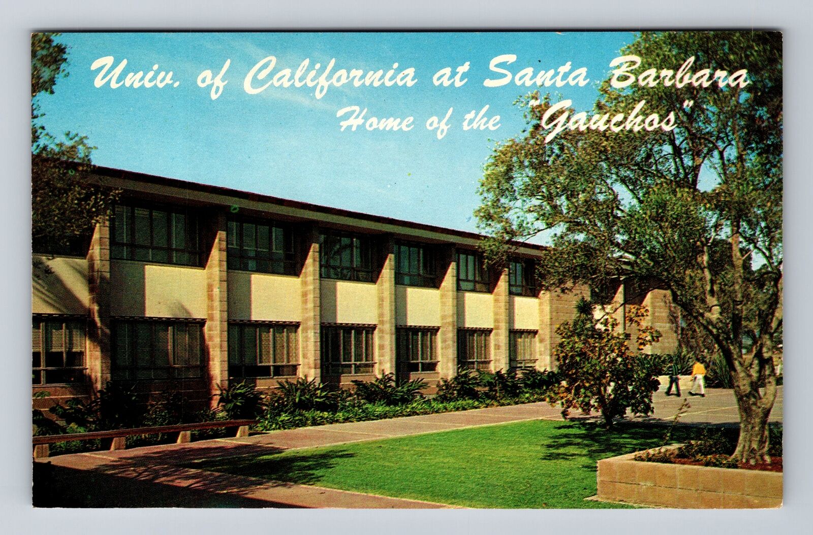 Santa Barbara CA-California, University Of California, Antique Vintage Postcard
