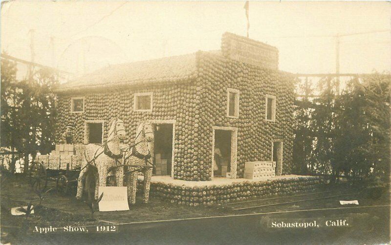 1912 Sebastopol Sonoma California Apple Show Agriculture RPPC Photo Postcard