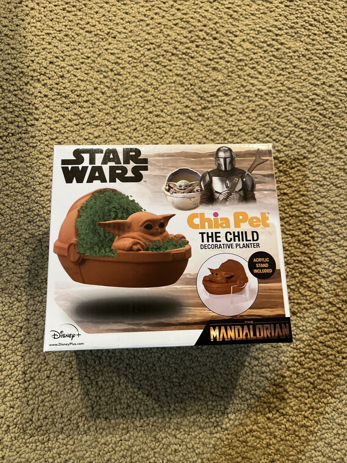 Star Wars The Child Chia Pet Floating Edition with Stand NEW