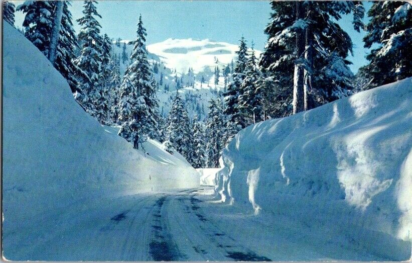 Vintage Postcard Mile High Snow Cascade Mountains WA Washington 1960       L-027
