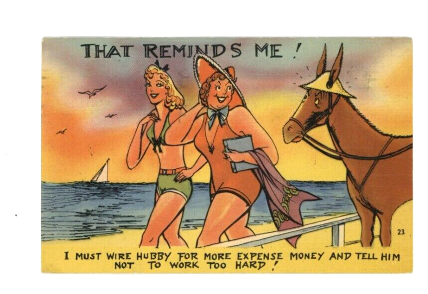 Vintage Comedy Postcard WIRE HUBBY  LADIES  HORSE  BEACH   LINEN  POSTED  1949