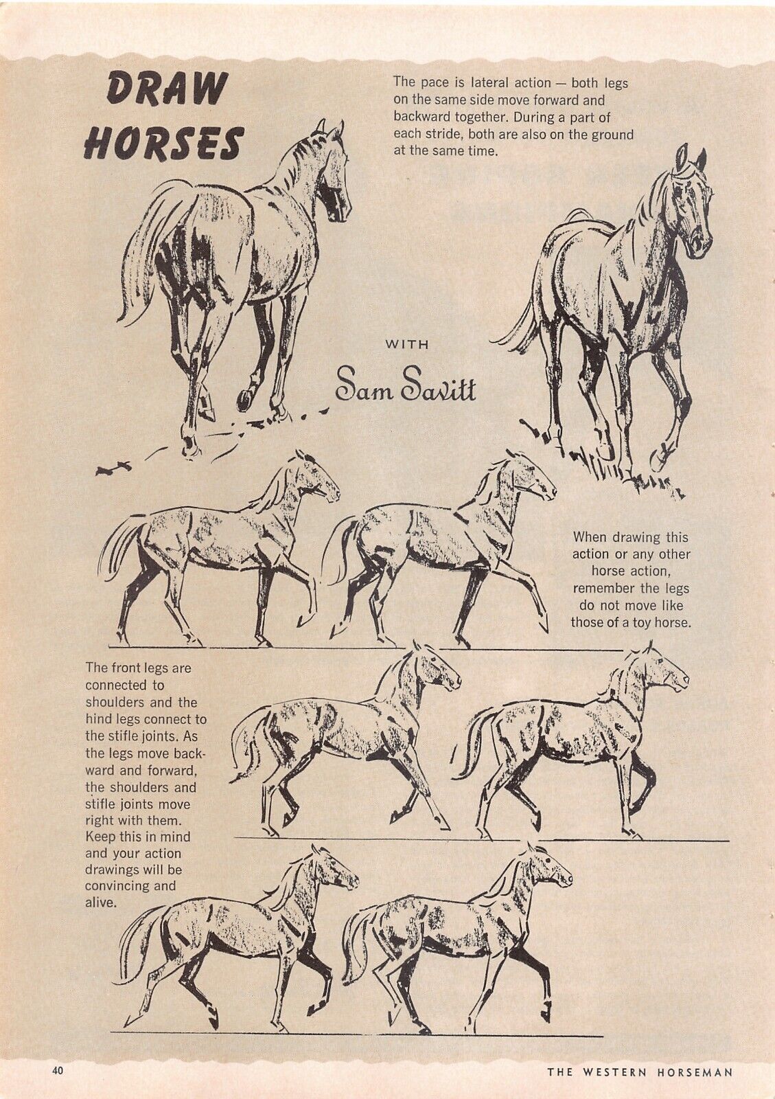 Draw Horses with Sam Savitt Vintage Magazine Excerpt