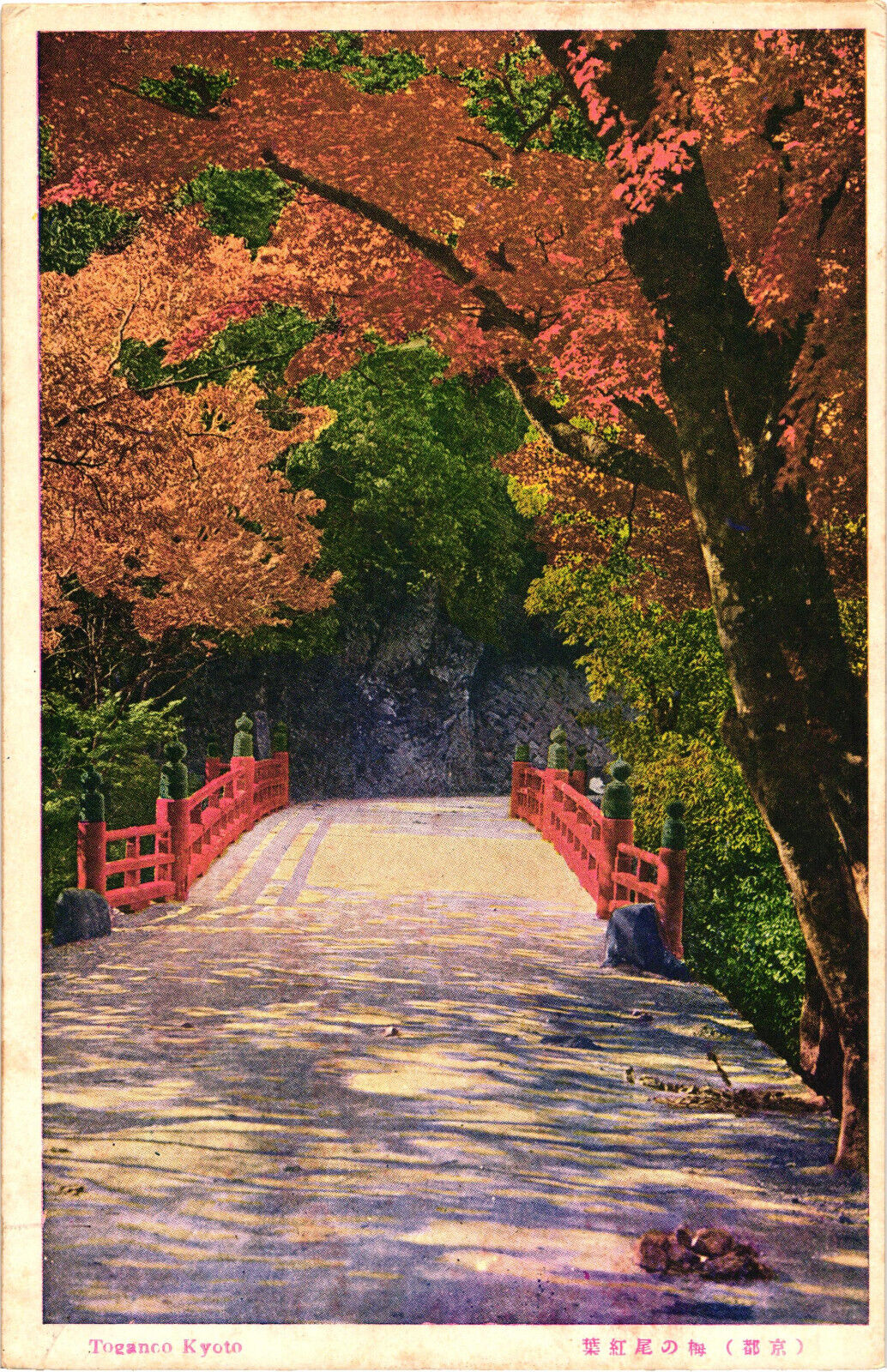 Togonaco Kyoto Japan Plum Blossoms Postcard Unposted