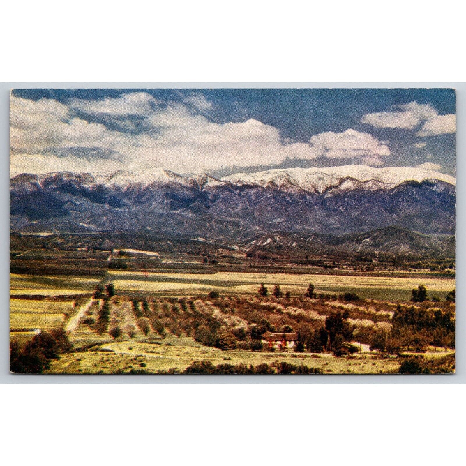 Postcard Vintage Mt. San Gorgonio California 0516