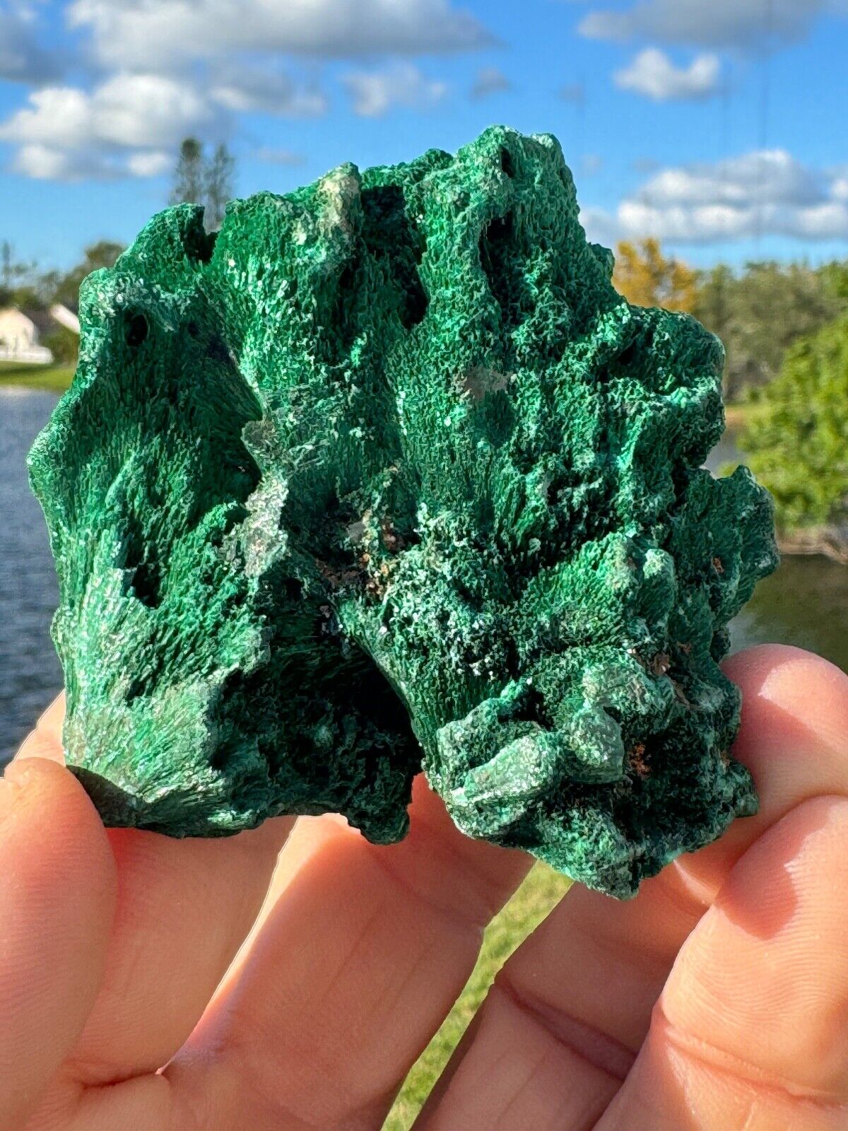 143G Natural Raw Malachite cluster rough mineral