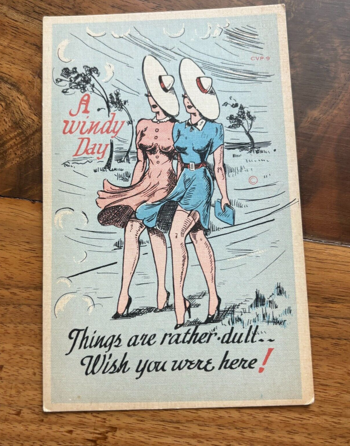Vintage Postcard A Windy Day Things Are Rather Dull Wish You Were Here CVP-9