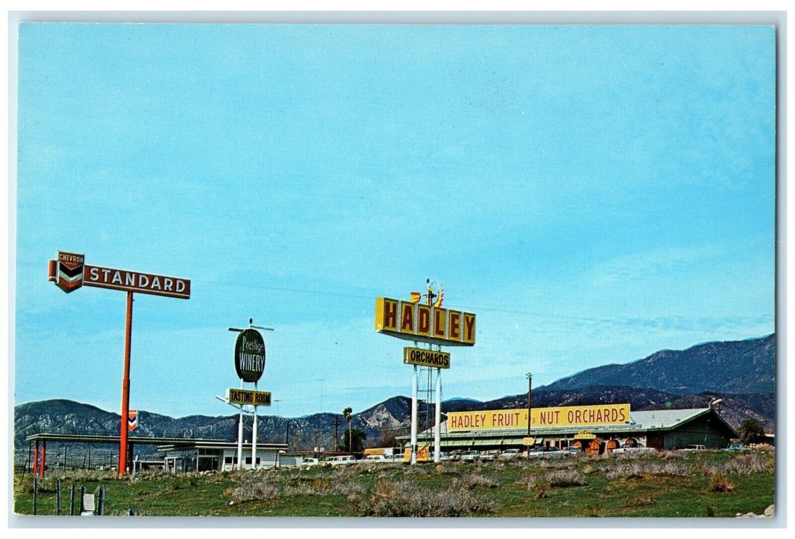 c1960 Hadley Fruit Orchard Palm Springs Beaumont Cabazon California CA Postcard