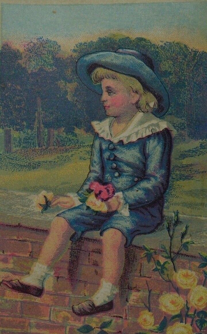 1870\'s-80\'s Loo Choo Mixed Tea Boy In Blue Brick Fence Yellow Roses F95